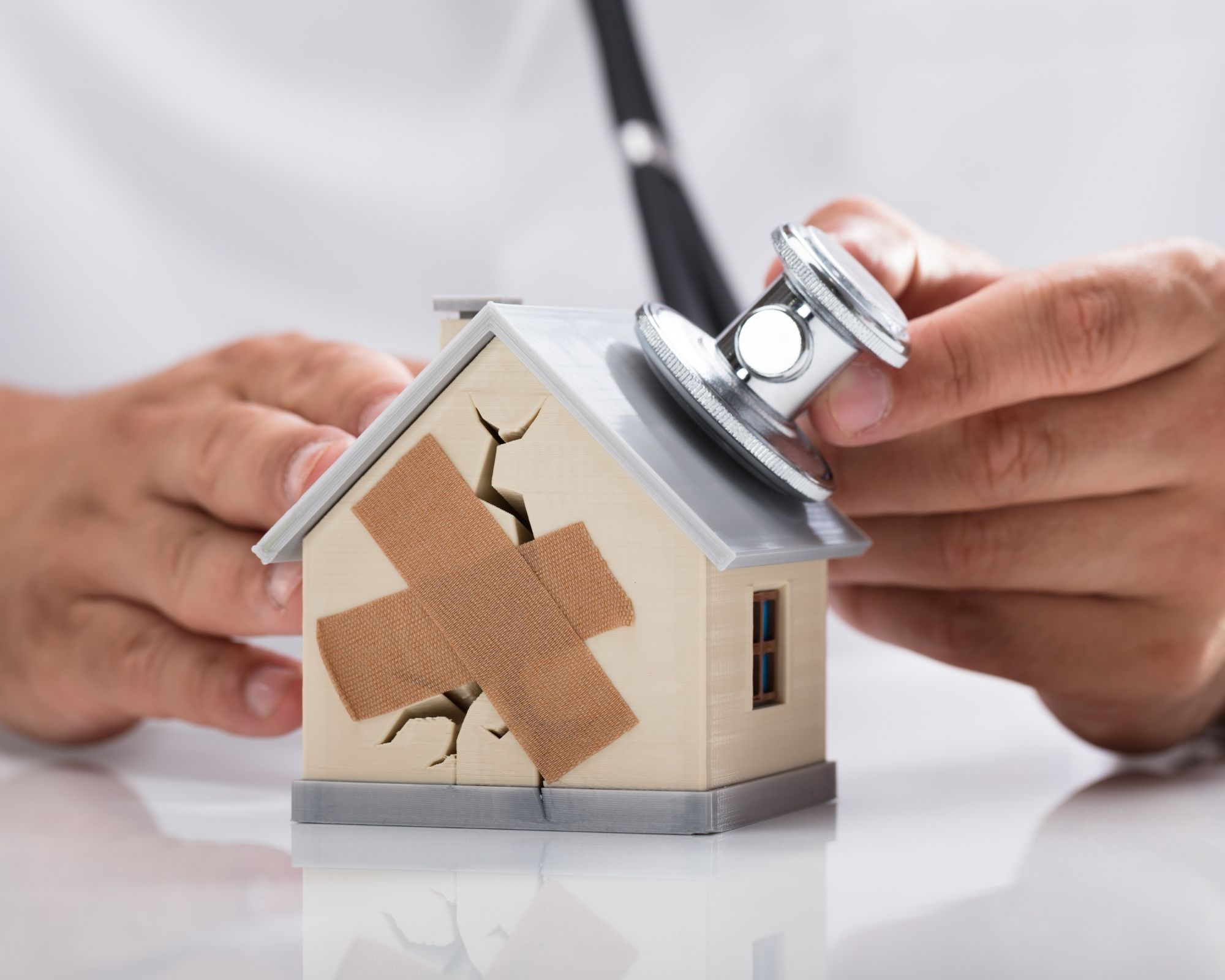 Expertise en vices cachés immobilier Vices cachés immobilier